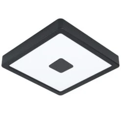 EGLO Iphias 2 Opbouwlamp Buiten - LED - 21 cm - Zwart/Wit