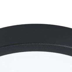 EGLO Argolis 2 Opbouwlamp Buiten - LED - Ø 28,5 cm - Zwart/Wit -Eglo 1000072219 0102