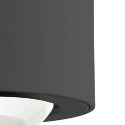 EGLO Treviolo Wandlamp Buiten - LED - 8,5 Cm - Zwart/Helder -Eglo 1000076829 0102