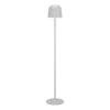 EGLO Mannera-L Staande Lamp - USB-C - H 140 Cm - Grijs