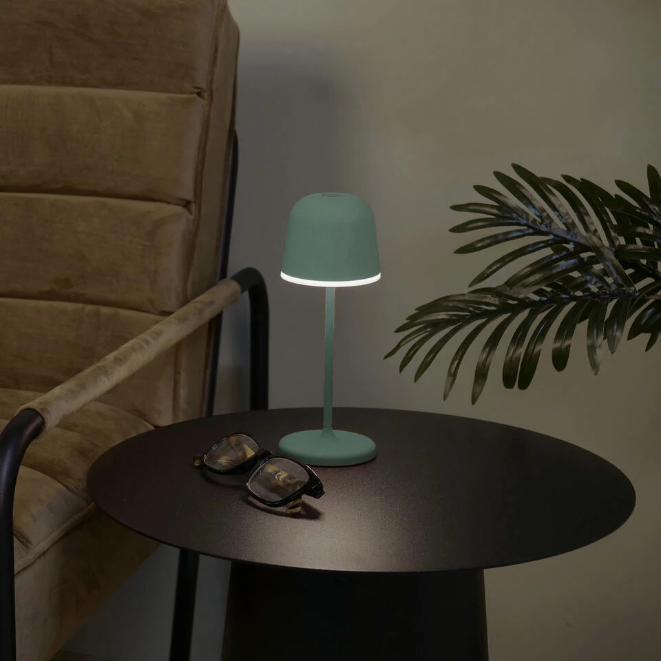 EGLO Mannera-S Tafellamp/Priklamp - USB-C - H 20 Cm - Groen 2 EGLO Mannera-S Tafellamp/Priklamp - USB-C - H 20 Cm - Groen - Afbeelding 2