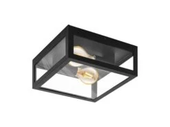 EGLO Wand- En Plafondlamp AMEZOLA - Zwart Zwart