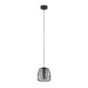 EGLO Hanglamp FLORESTA 1x - Zwart/gestoomd Glas Zwart
